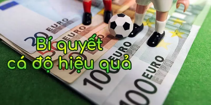 Bí quyết chơi cá độ bóng đá hiệu quả