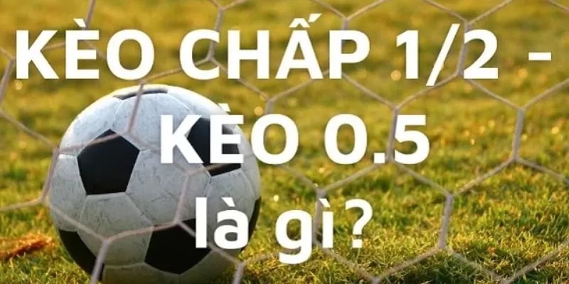 Tìm hiểu về kèo chấp 1/2 là gì?